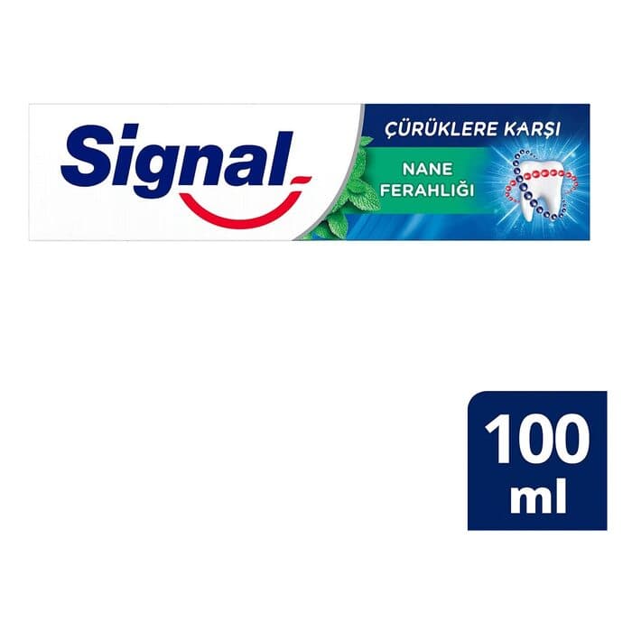 Diş Macunu Çürüklere Karşı Nane 100 Ml