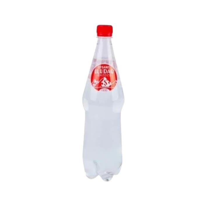 Gazoz Efsane 1 Lt