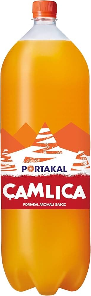 Çamlıca Portakal 2.5 Lt