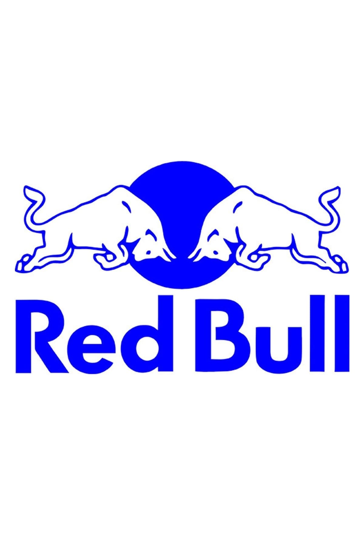 Redbull The Wınter Edıtıon 250 Ml