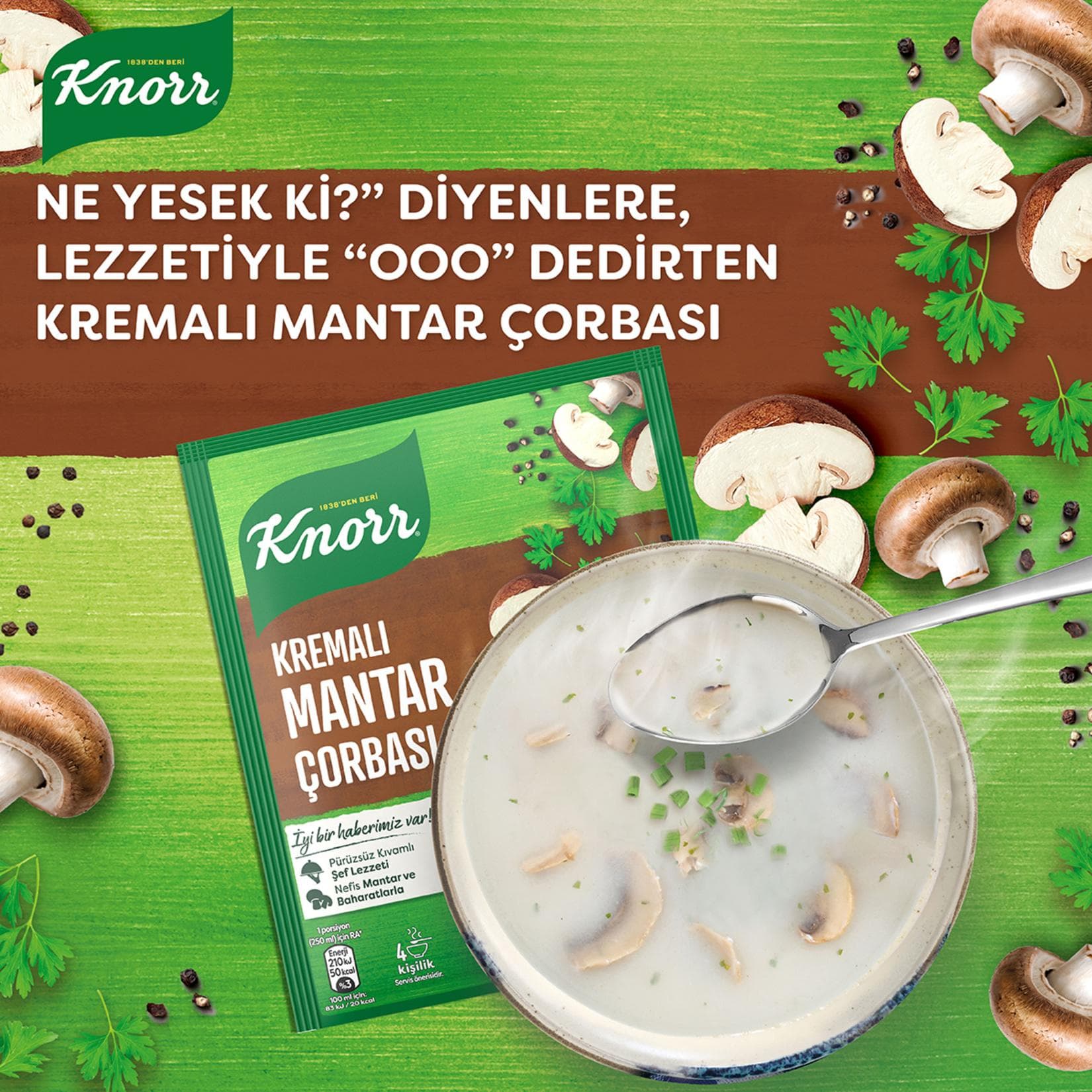 Knorr Krem.mantar Çor 63 Gr